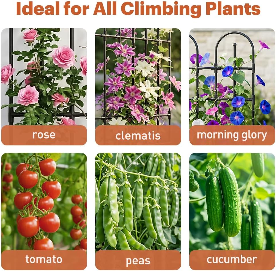 Black Garden Trellis, 71x21 Inch Metal Arch Decoration with Rustic Iron & Black Coating, 2 Pack Outdoor Plant Support for Climbing Roses, Vines, Flowers, Vegetables