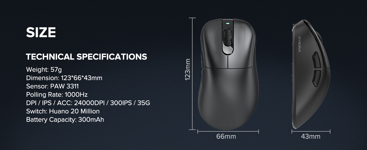 Mouse♡ Amazon.com: Heayzoki Bluetooth Mouse, 2.4G Cute Cartoon Cat Dual