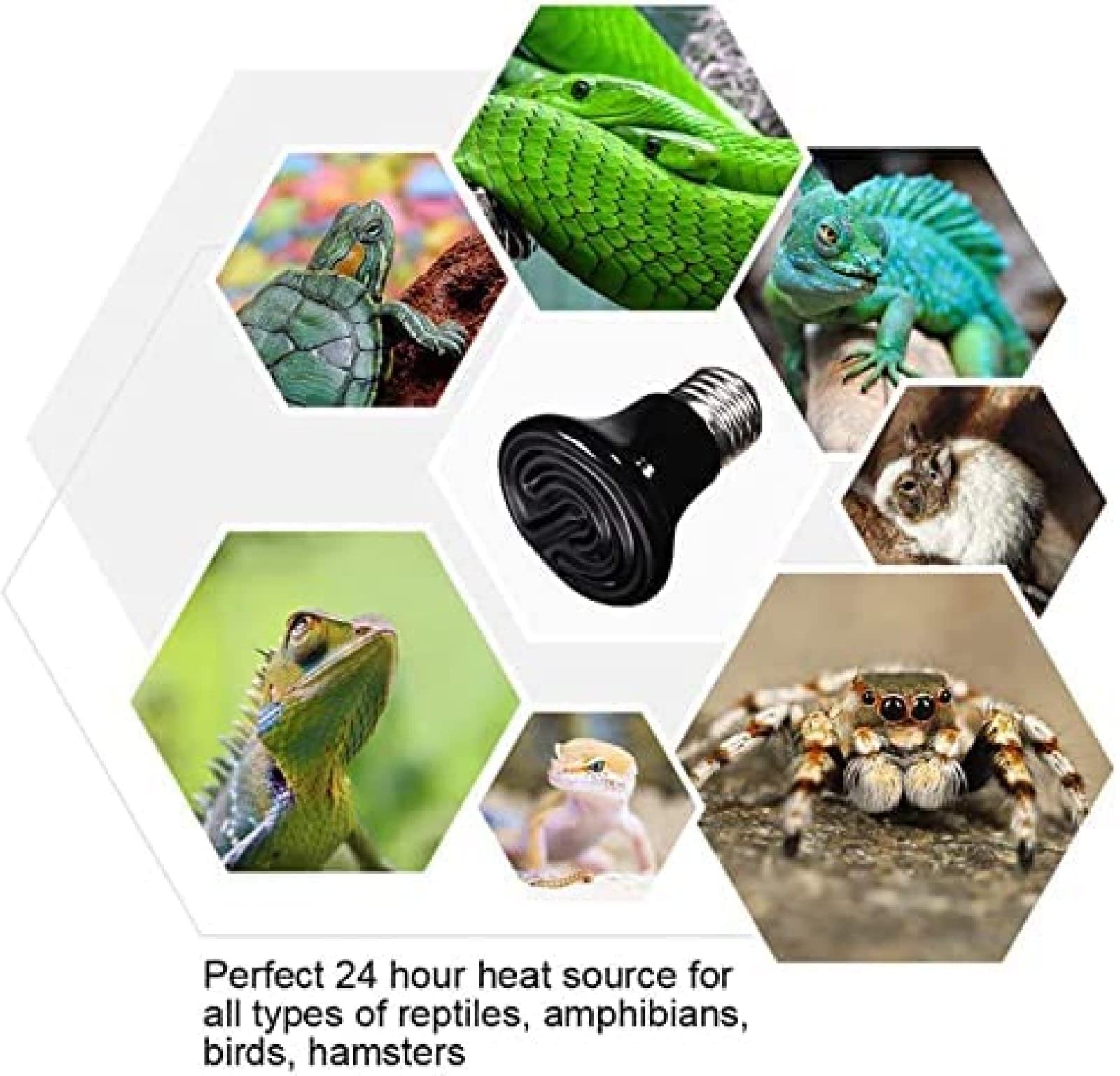 Kit de lámpara de Calor para Reptiles, lámparas calefactoras de cerámica con Pantalla de Seguridad, Bombilla de luz Diurna de 50/75/100 W, para Pollo, Loro, Gato, Perro, 75 W