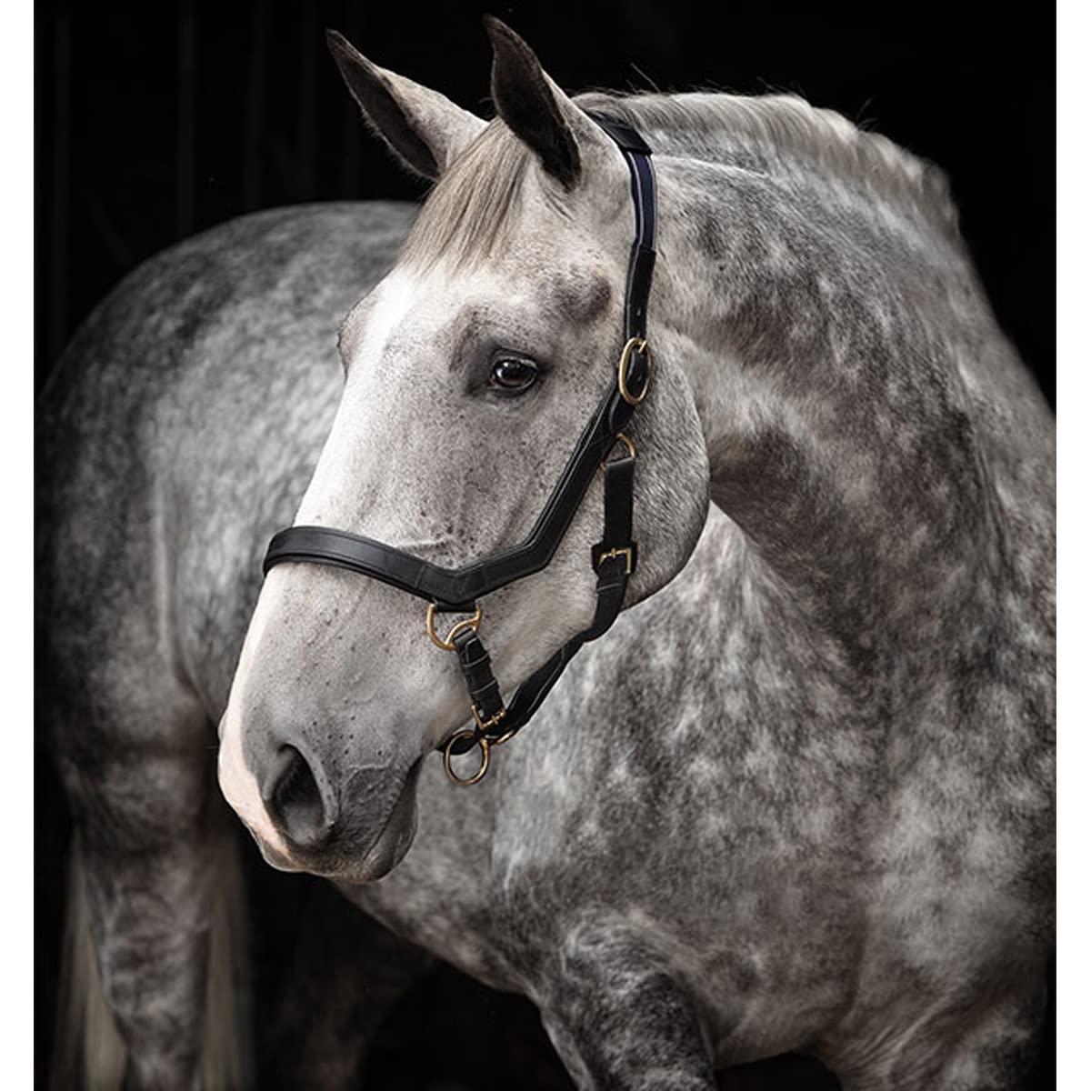 Horseware Cabezada para Caballos Rambo Micklem