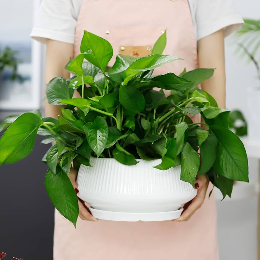 i pot‼ Monster CROSS 廃盤 ケンコー 52mm ZX プロテクター