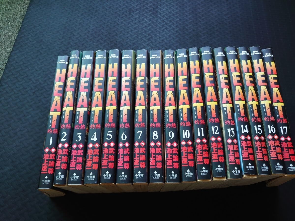 HEAT 灼熱ヒート 全17巻 + サンクチュアリ 全12巻　池上遼一 Amazon.co.jp: HEAT-灼熱- 全17巻完結(ビッグコミックス