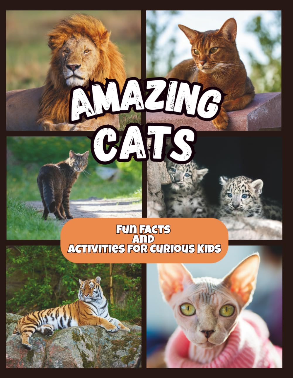 Amazing Cats - Fun Facts and Activities for Curious Kids: 2