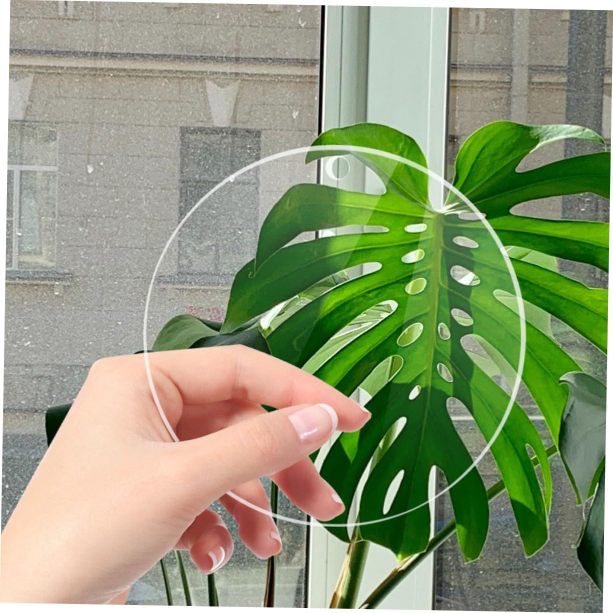 Hohopeti 8pcs Transparent Acrylic Circle Blanks Clear Round Discs with Holes for DIY Crafts Painting Photo Frames and Tabletop Decorations Thick