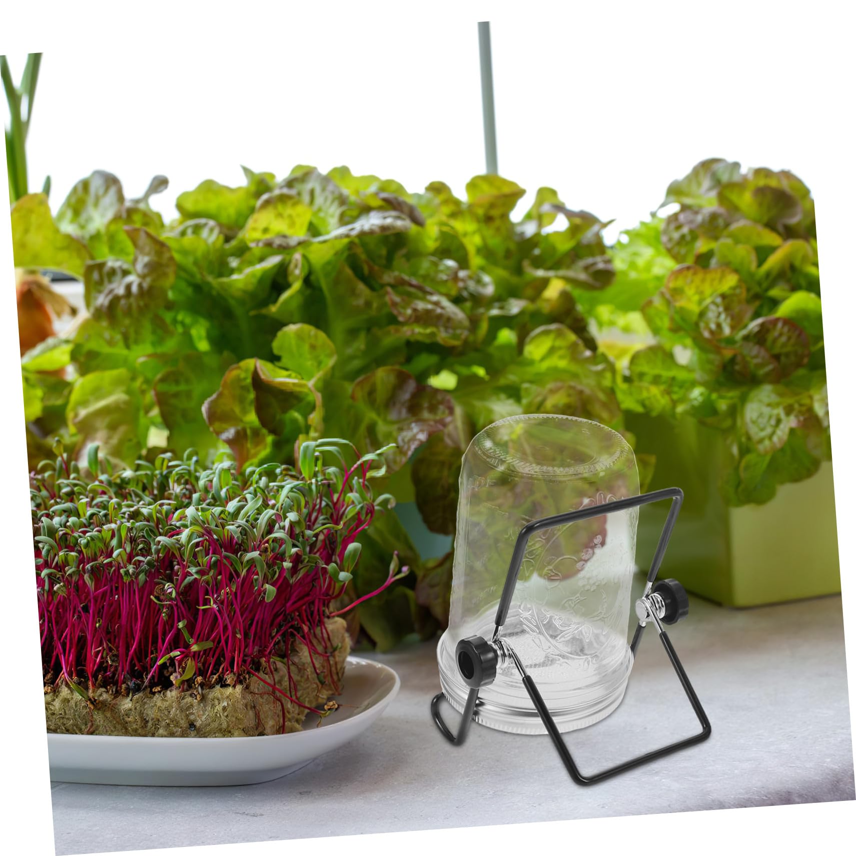 Hemobllo 2 Juegos Kit de Germinación con Frascos Tapas Colador de Acero Inoxidable Soporte para Brotes Microgreens y Semillas para Cultivo Rápido Casa y Fiestas