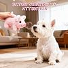 Walking Electric Plush Pet Realistic Pig, Walking Piggy Interactive Moving Dog Toy, Dogs Toys with Pig Nose for Boredom, Oink Twitch Nose Wag Tail Interactive Pigs for Family Members and Pets