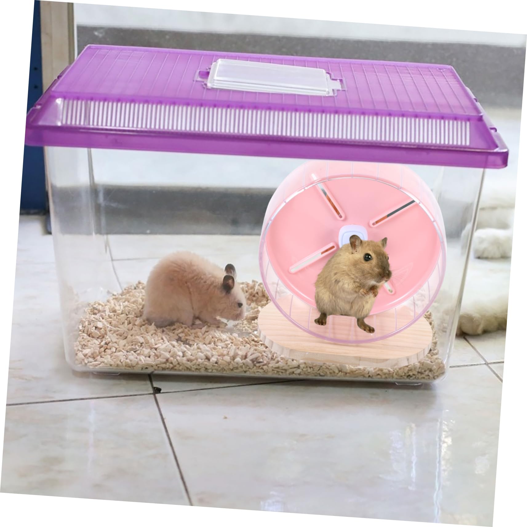 BESTonZON Roue Silencieuse pour Hamster Chinchilla Et Rat Roue Exercice Stable Au Sol Accessoire pour Cage à Petits Animaux