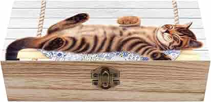 トールペイント　作品　一点物　木製　ジュエリーボックス　小物収納　蝶　猫脚 猫脚 チェスト 木製 おしゃれ 引出収納 アンティーク 3段 6引出
