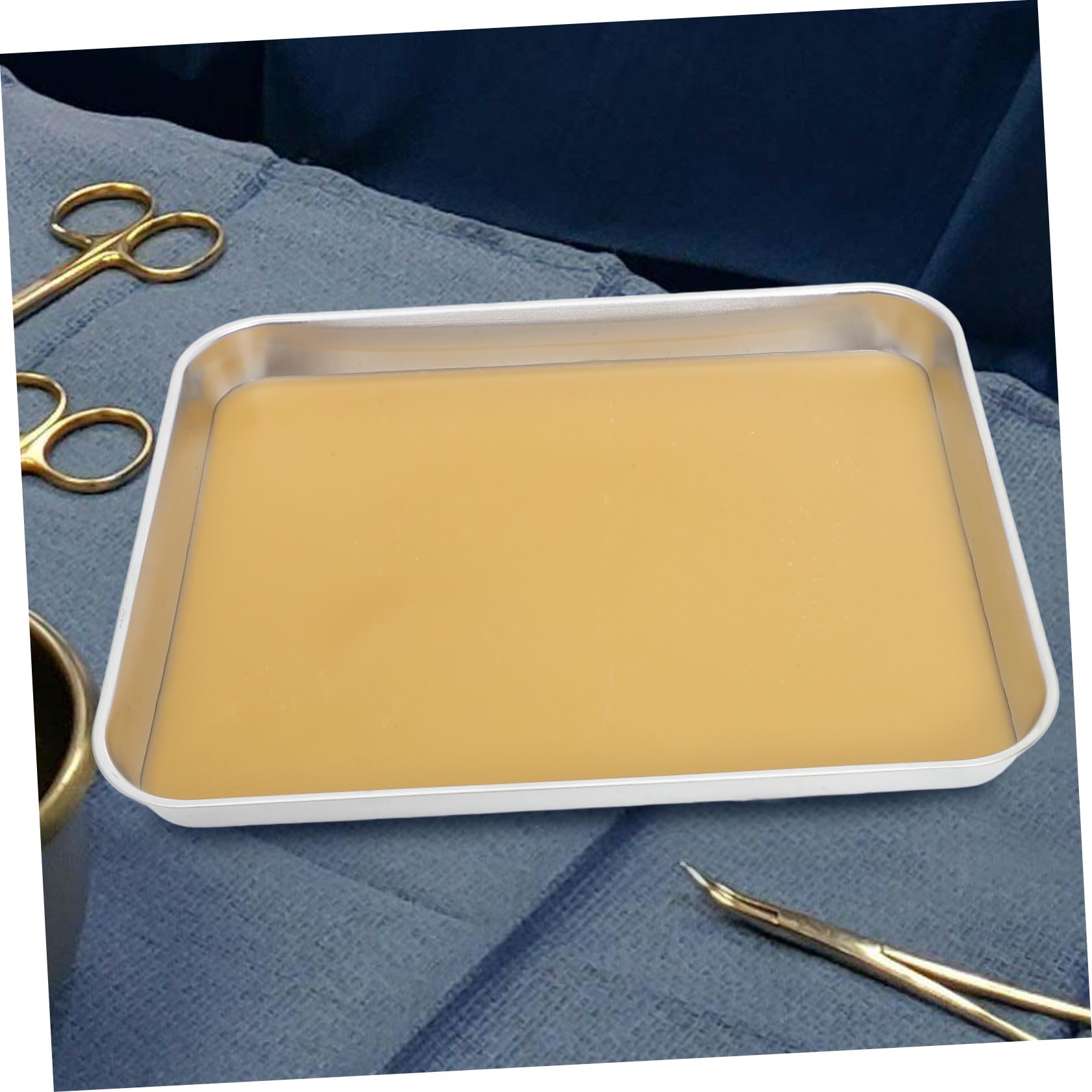 IMIKEYA Plateau De Laboratoire Métal Avec Surface Cirée Pour Dissection Et Observation Échantillons Bord Lissé Pour Sécurité
