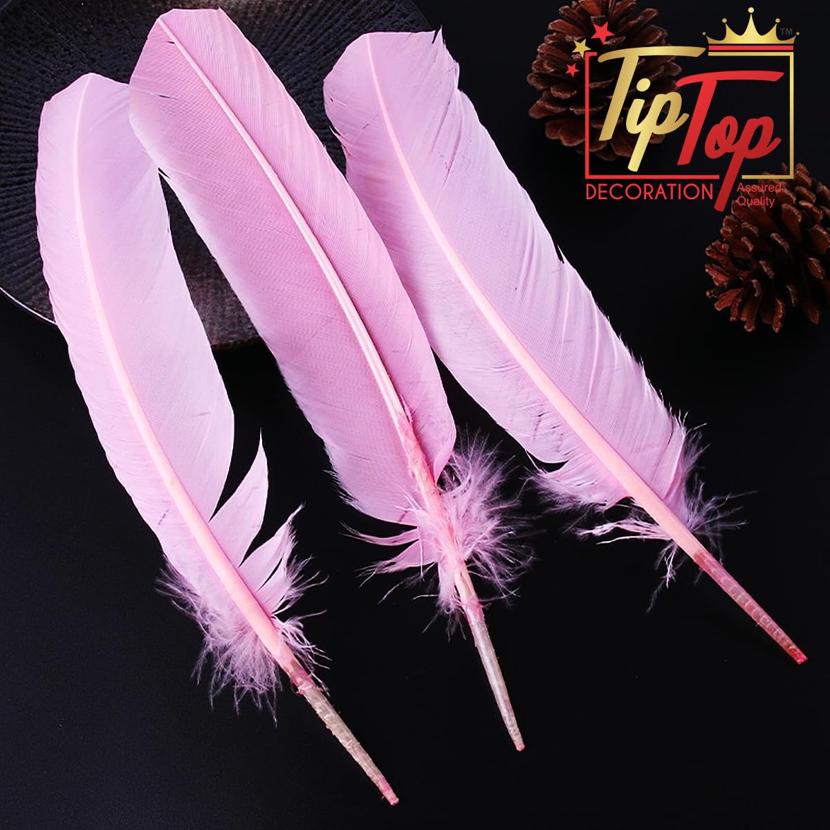 TIPTOP DECORATION Natural Dyed Goose Quills 12-14 Inch (5 Pieces) (Bubblegum Pink) 1