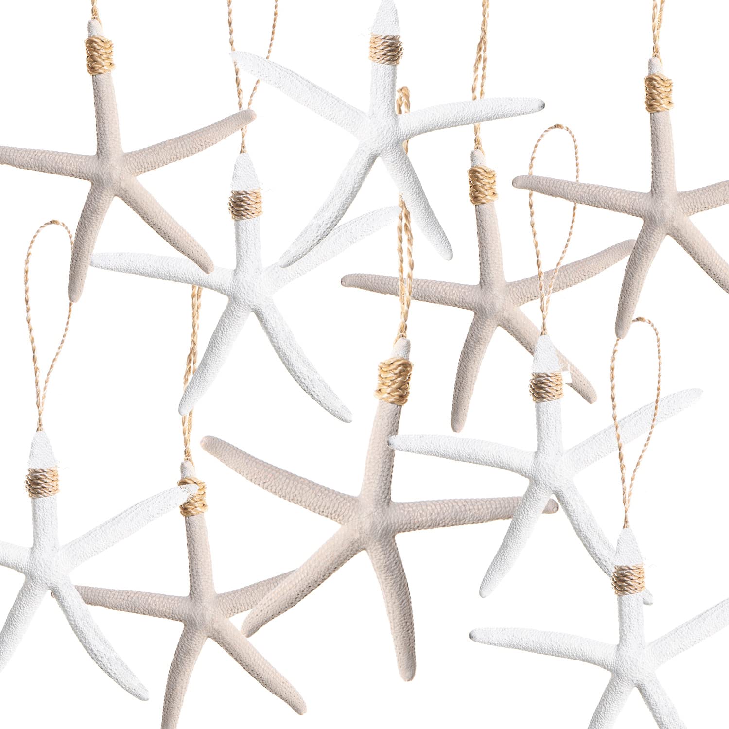 Logbuch-Verlag Lot De 10 Pendentifs Poisson En Bois Bleu Naturel - Idéal Communion 5,5 Cm