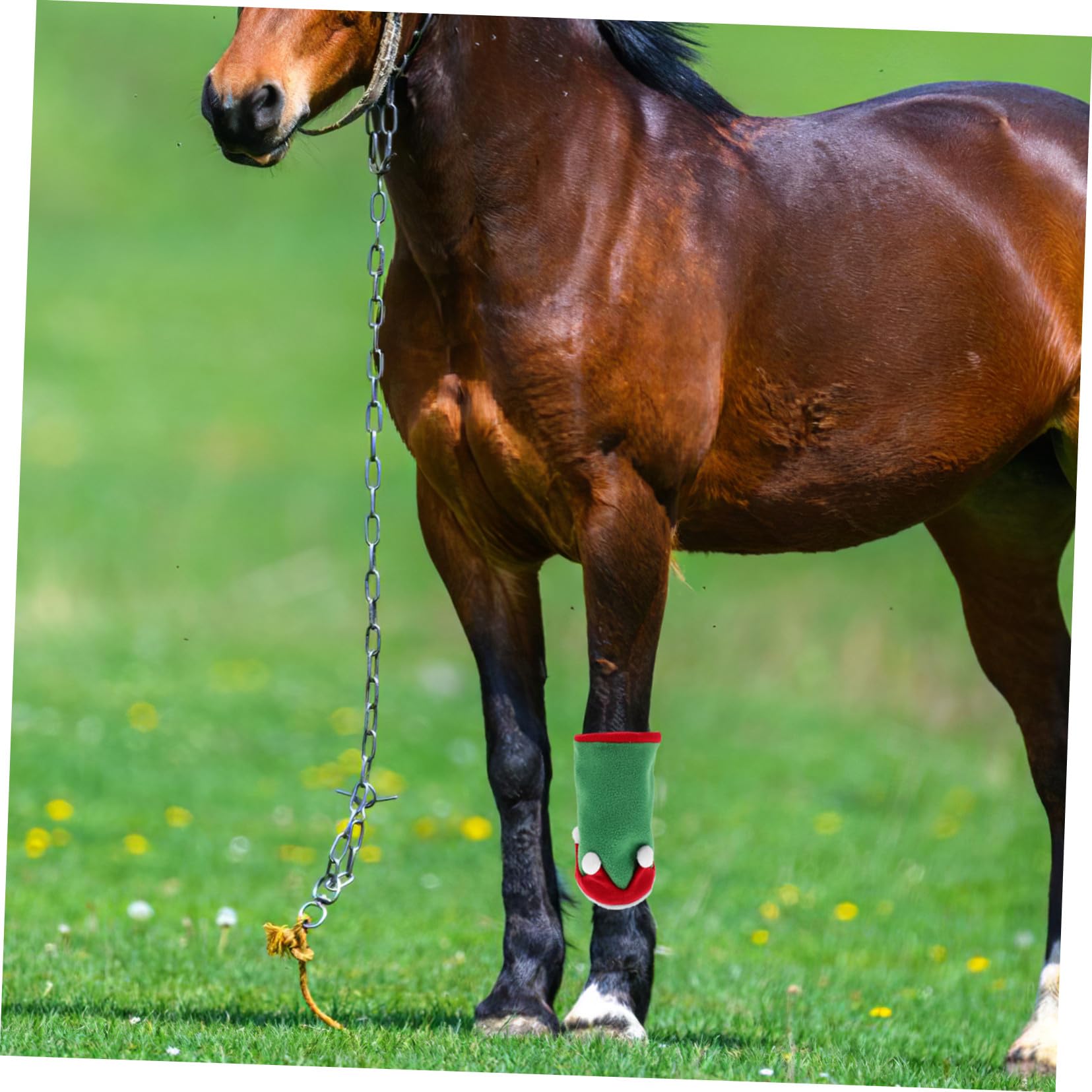 SUPVOX Fasce e Cappello Per Zampe Di Cavallo Natalizie Protezione Per Zampe Di Cavallo Natalizie e Cappello Da Elfo Accessori Per Costumi Natalizi Decorazione Per Feste Di Natale