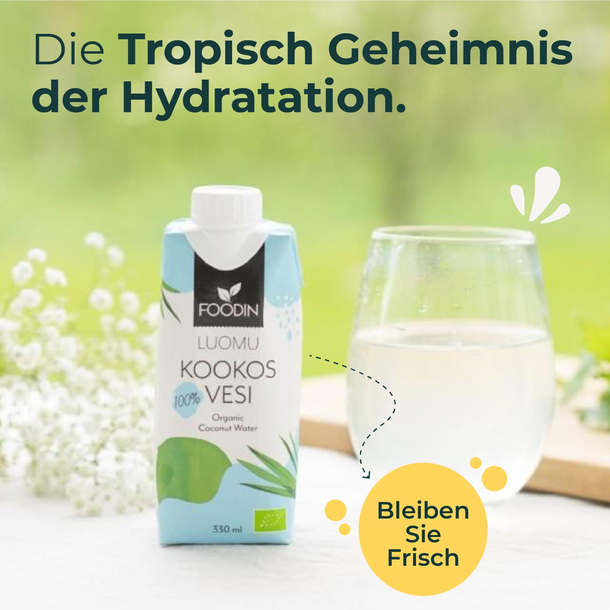 Foodin Bio-Kokoswasser – 100% natürliches Kokosnusswasser mit Elektrolyten – glutenfrei, kalorienarm, fettfrei, vegan – 12er Pack (12 x 330ml)