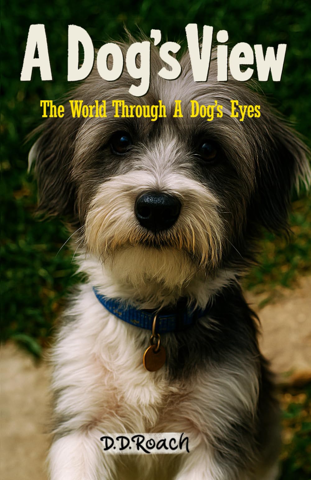 A Dog's View: The World Through A Dog's Eyes