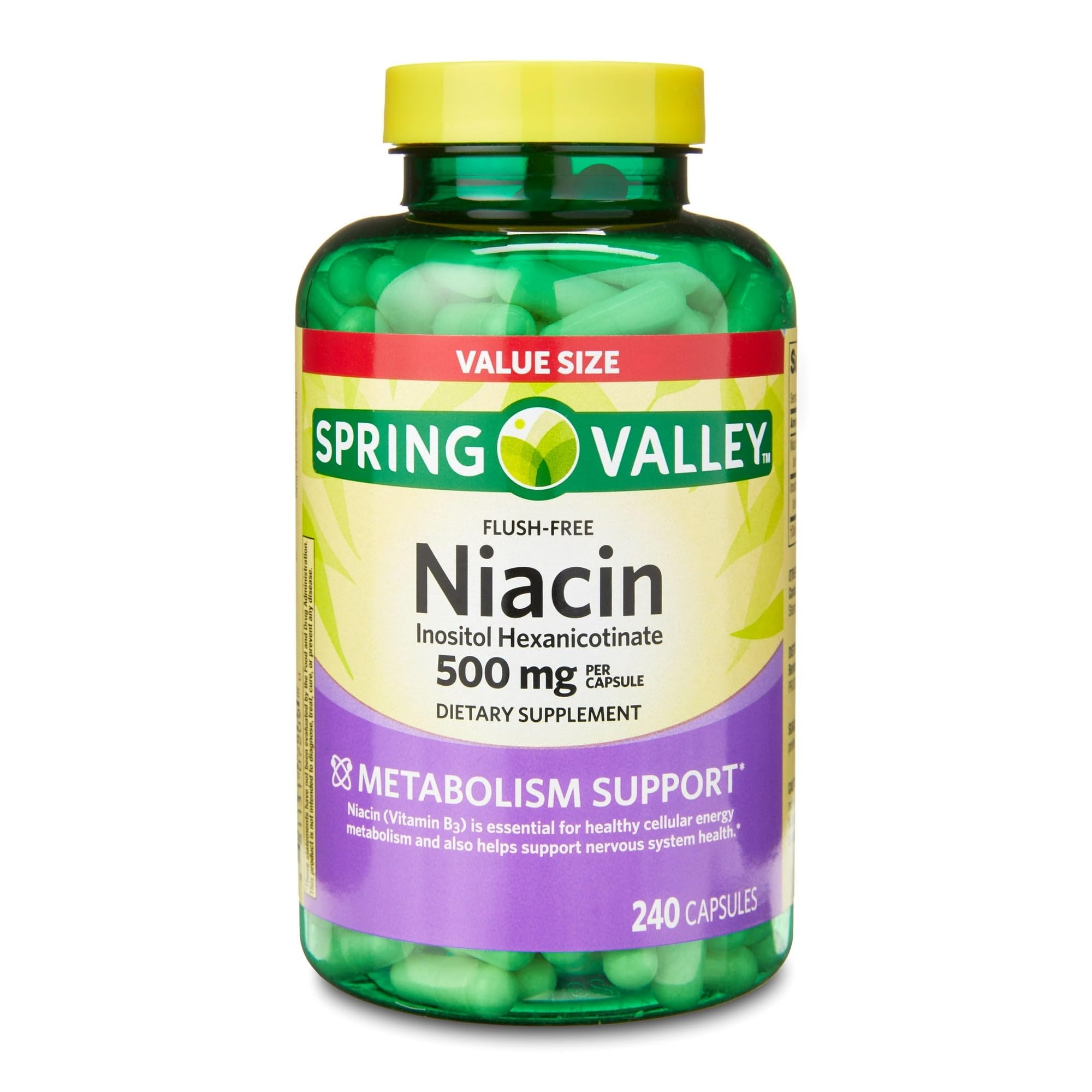 Spring Valley Vitamin B3 Niacin 500mg Flush Free Capsules, Dietary Supplement 240 Pills (Pack of 1) - Set by Basket Goods — Amazon image 2