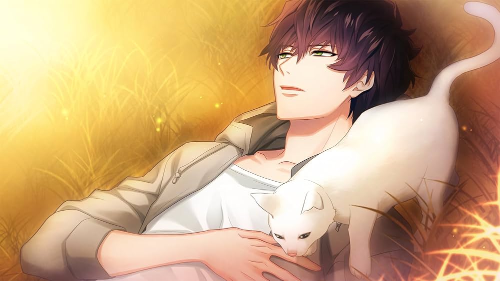 Amazon.co.jp: DYNAMIC CHORD feat.Liar-S Remaster edition - Switch