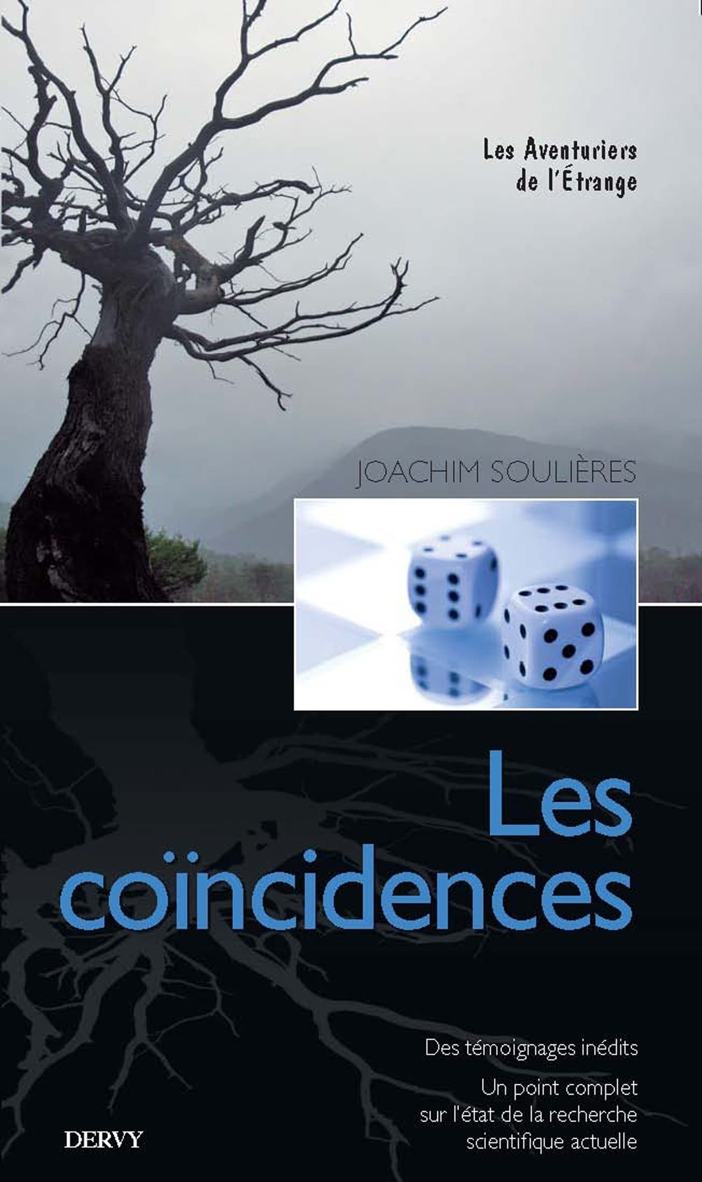 Les coïncidences (French Edition)