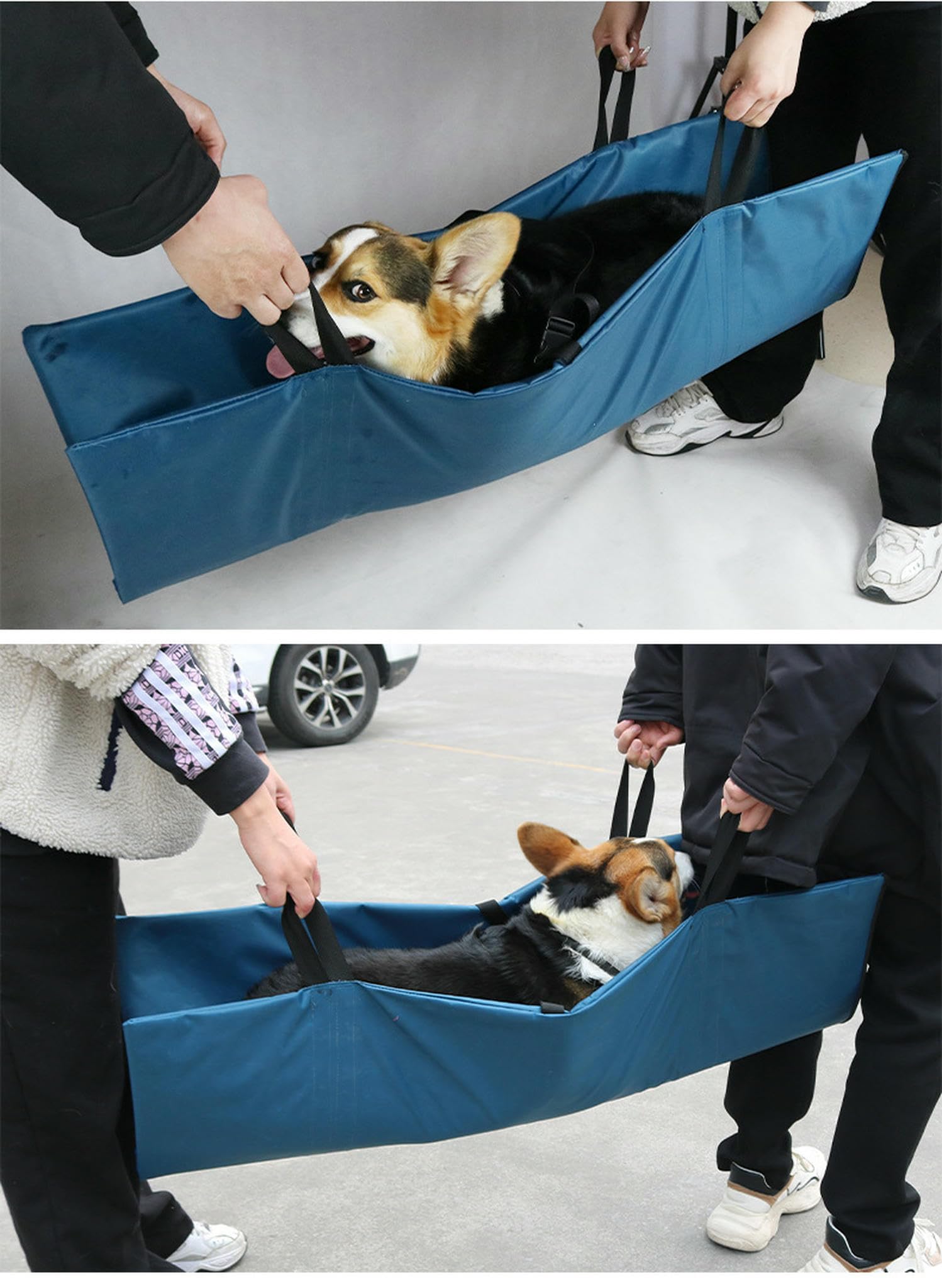 Articoli per Animali Domestici Pet Pieghevole Portatile Riutilizzabile First Aid Stretcher, Stretcher Barella di Emergenza Spessa E Rinforzata-Blu