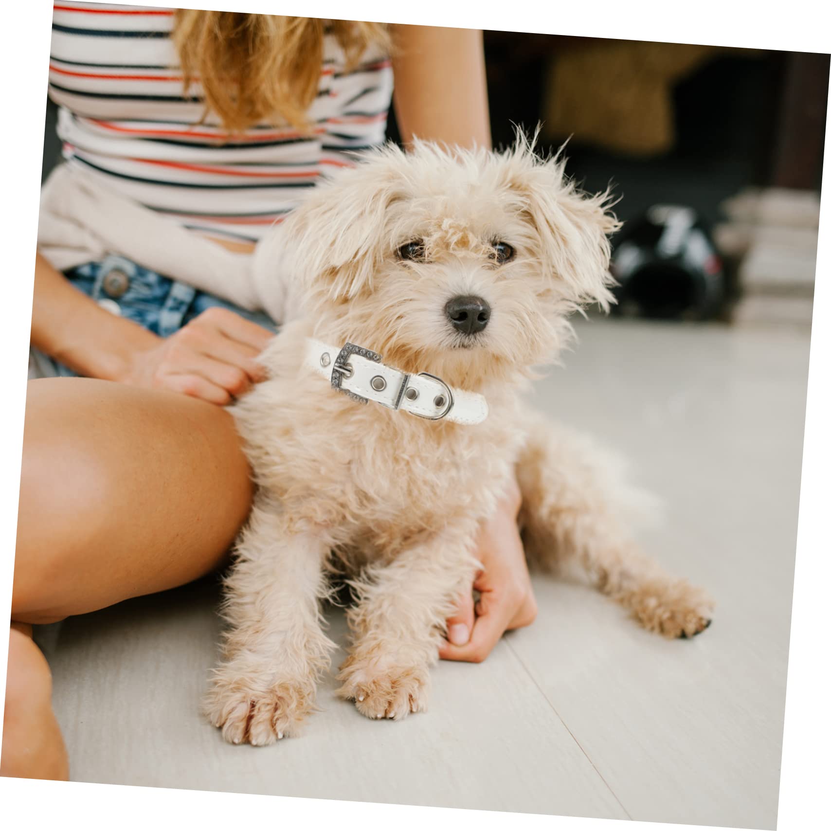 Collare di Perle per Cani Regolabile 2 Pezzi in Pu Bianco | Cuccioli e Animali Domestici, Comodo da Mettere e Togliere, per Uso Quotidiano e Passeggiate All'aperto