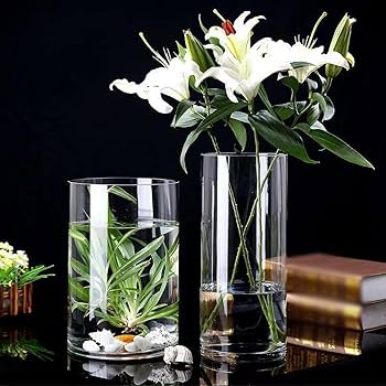 Amazon.co.jp: YJFFQ ガラスの花瓶 透明 ホワイト 12*35cm 花器