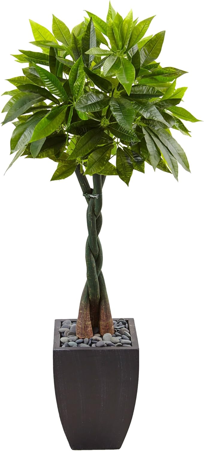 Nearly Natural 5ft. Money Artificial Tree in Black Square Planter