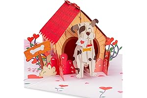 Kids Valentines Day Dog House Pop Up Card