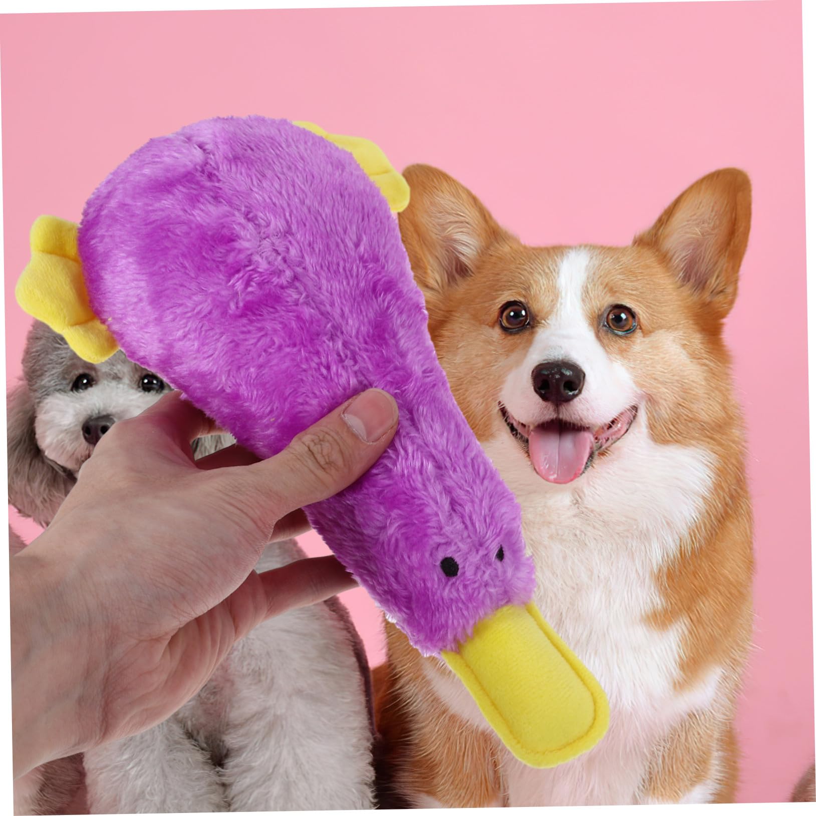 ORFOFE Jouet à Mâcher pour Chien Qui Couine Jouet Peluche pour Chien pour Chiot pour Animal de Compagnie