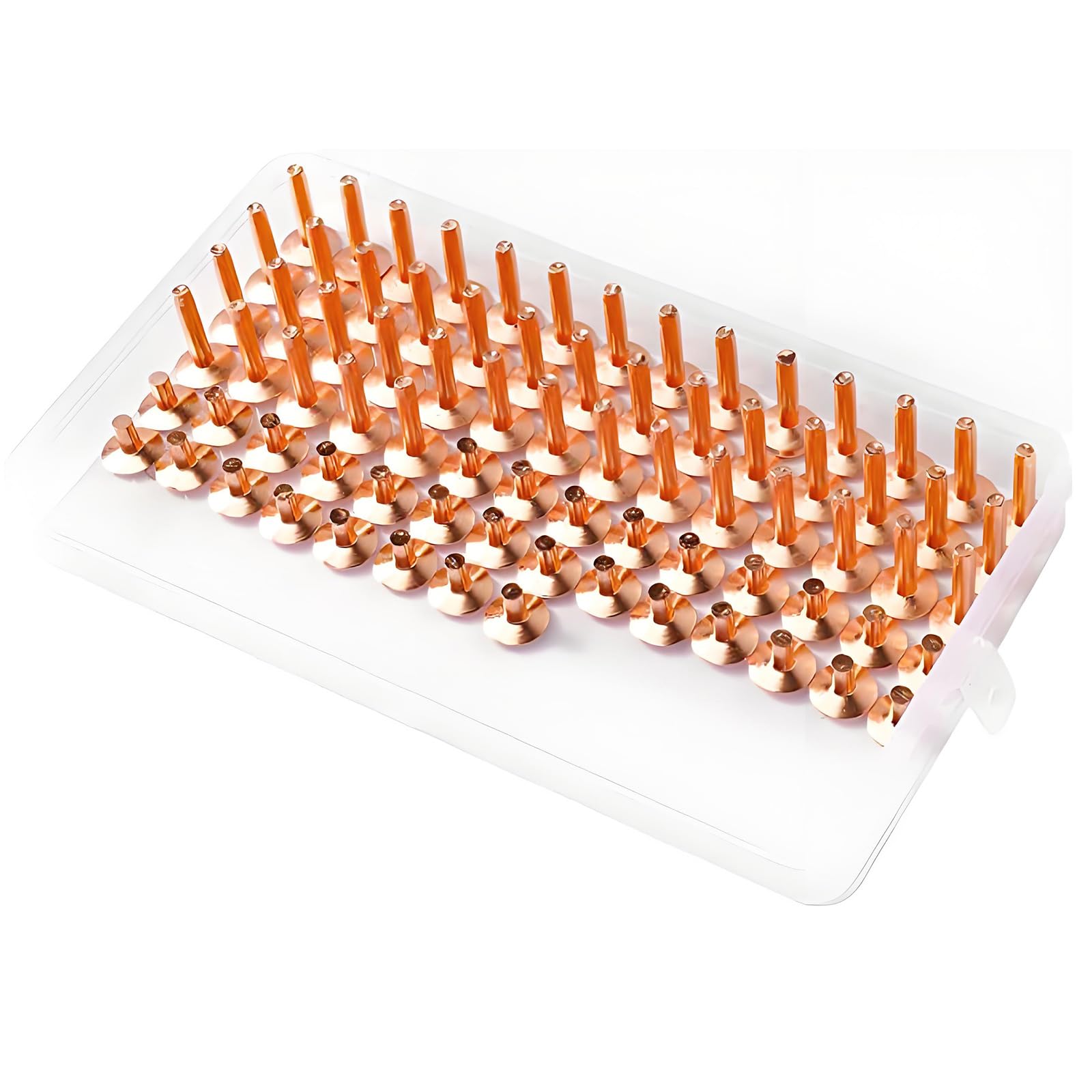 154Pcs Sturdy Brass Plain Head Rivets for Leather Projects and Repairs in 2 Sizes Copper Nails Copper Nails Flat Head Clout Clout Clouts Fasteners Decorative Checkered Ornamental Wire Tacks