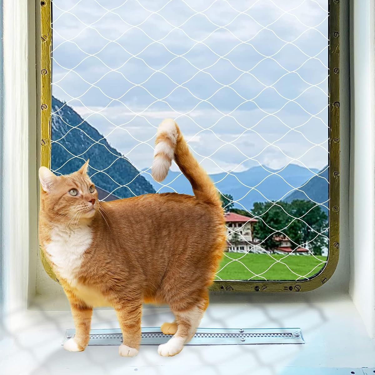 PAWISE Cat Safety Net, Cat Balcony Net Pet Anti-Fall Netting for Window Stairs,Dog Fence Nets Transparent （26x10 Ft）
