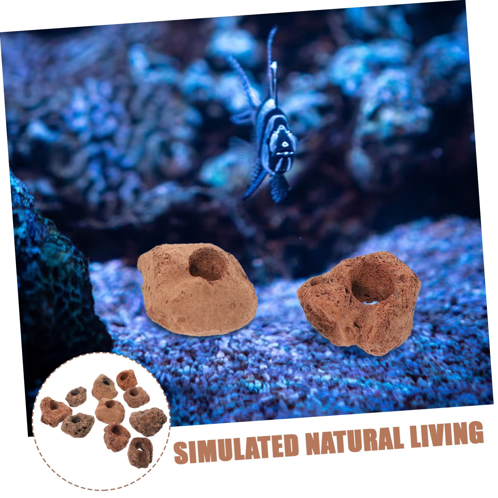 minkissy 10stücke Vulkanstein Aquarium Versteck Für Fische Naturstein Höhle Für Fischtanks Langlebig Einfach Zu Reinigen Mit Löchern Für Spiel Und Versteckmöglichkeiten Für