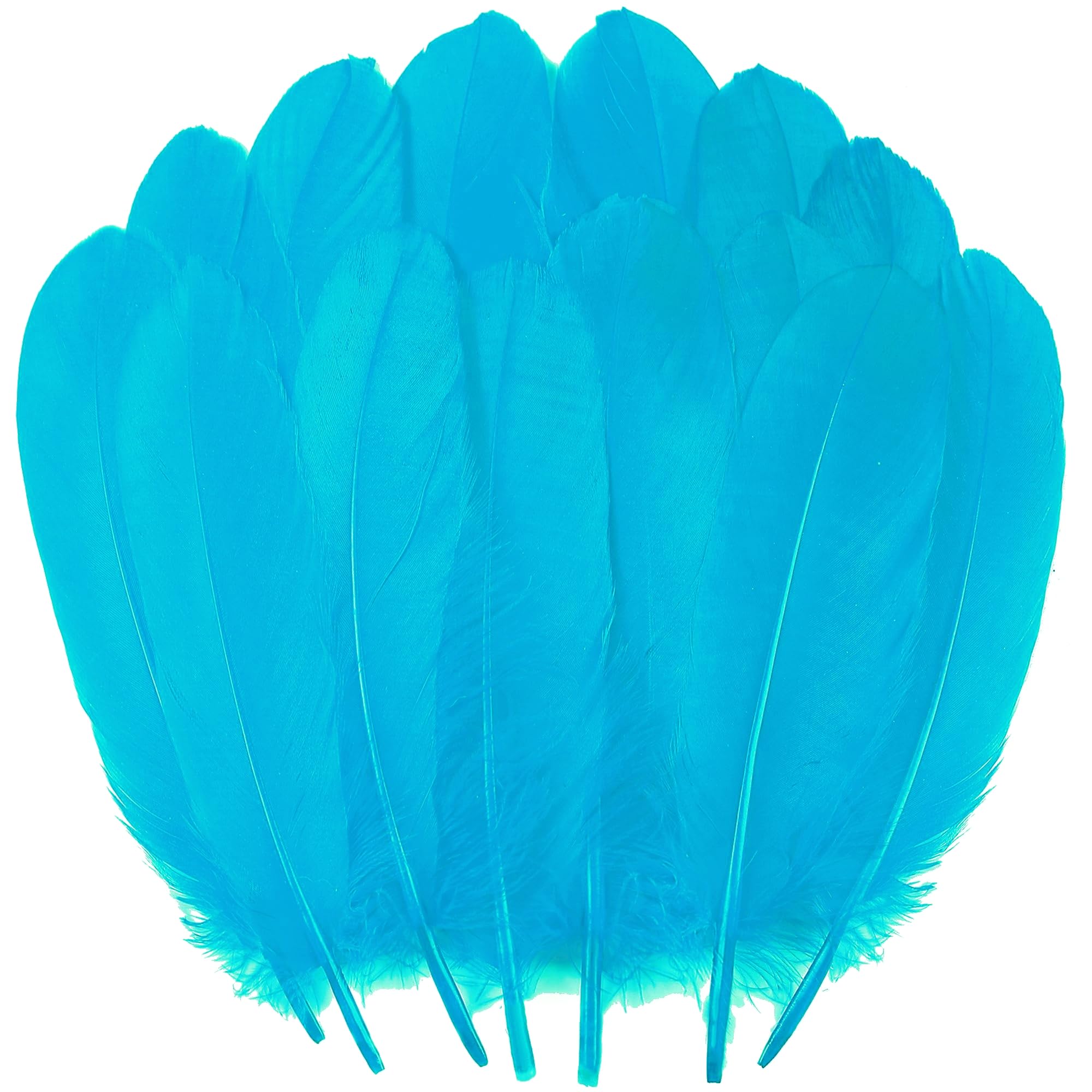 Amazon.com: Ballinger Turquoise Craft Feathers Bulk - 120Pcs 6