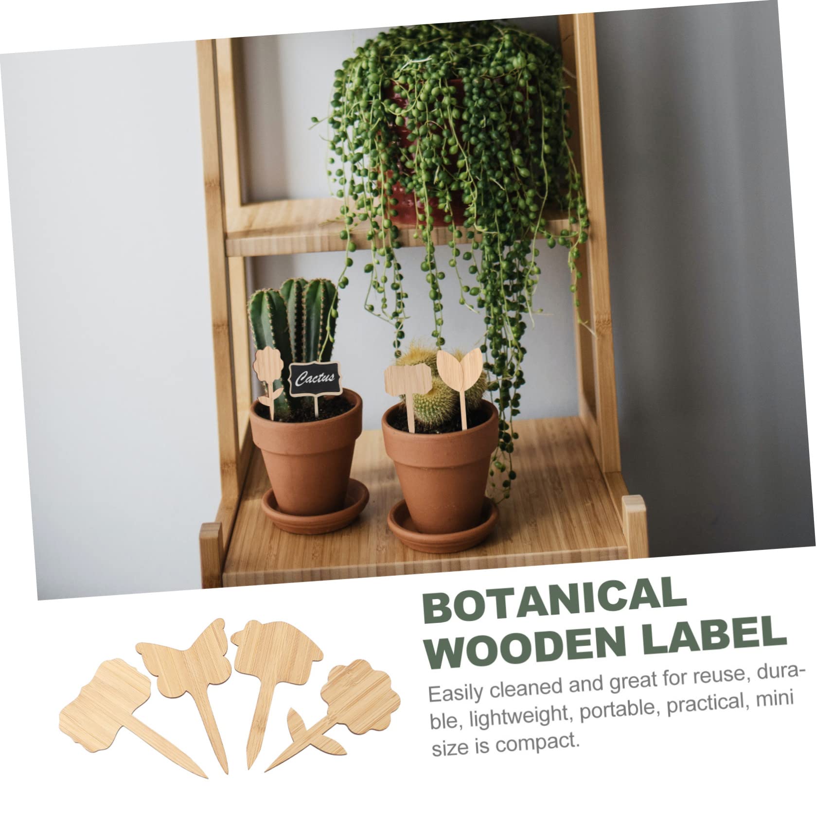BESPORTBLE Lot De 4 Étiquettes Pour Plantes De Pépinière Étiquettes Naturelles Faciles À Installer Pour La Décoration De Jardin 40 Pièces X 4