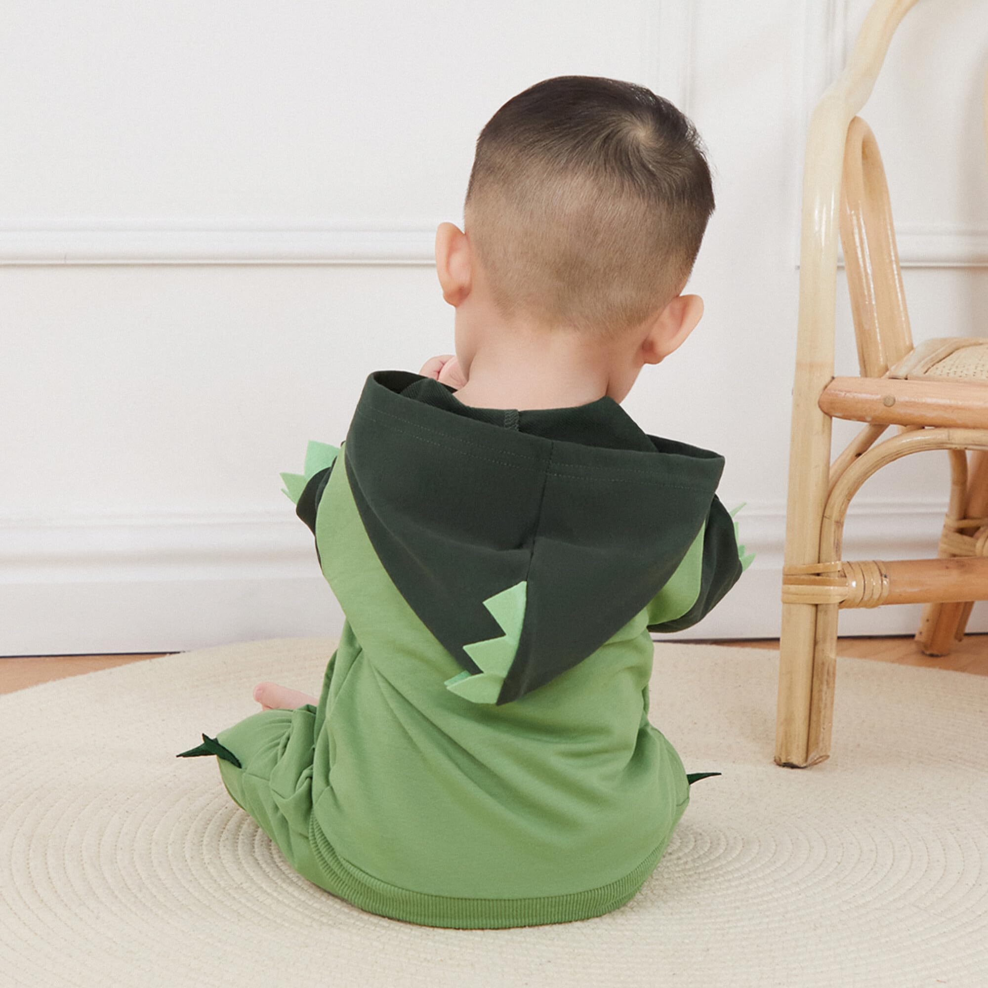 PUHHAPIEY Ropa para bebé niño pequeño, trajes de otoño e invierno, bloque de color, dinosaurio, manga larga, sudadera con capucha y pantalones deportivos