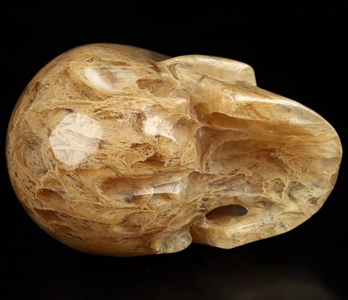 Miniatura 6 de Skullis Calavera de cristal de cuarzo fundido de 5.0 pulgadas, escultura de arte fino de piedras preciosas talladas a mano, estatua de piedra