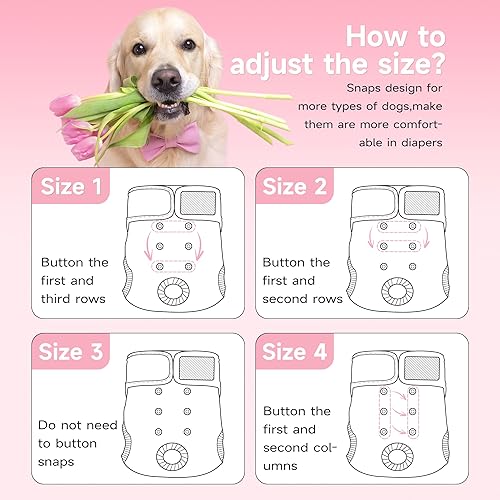 Miniatura 6 de Paw Legend - Pañales reutilizables para perro hembra, 3 unidades