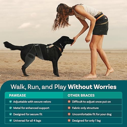 Miniatura 6 de Rodillera de perro para pierna trasera de acl desgarrado, soporte para piernas de perro para pierna trasera, tamaño grande, soporte para acl de