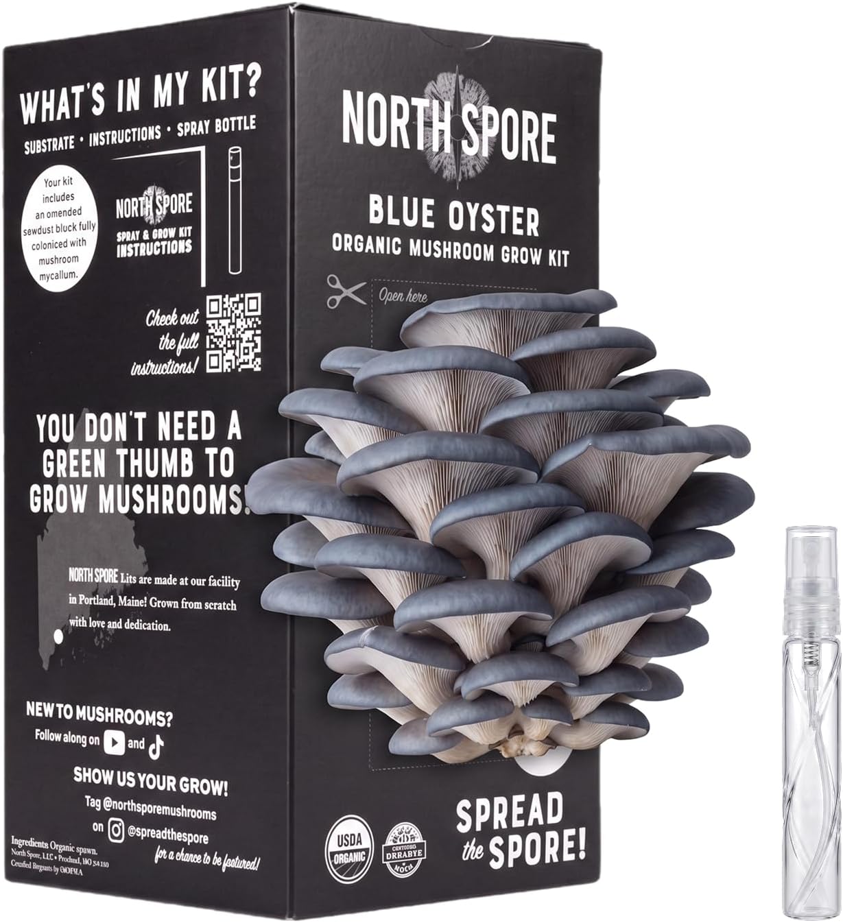 North Spore Organic Blue Oyster Mushroom Grow Kit, 4 lbs | Beginner-friendly Mushroom Spray & Grow Kit, USDA-Certified Organic, Harvest in 14-21 Days, Non-GMO, Handmade in Maine, USA