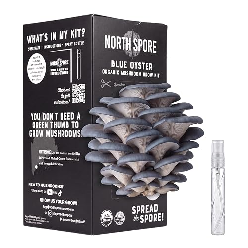 North Spore Organic Blue Oyster Mushroom Grow Kit, 4 lbs