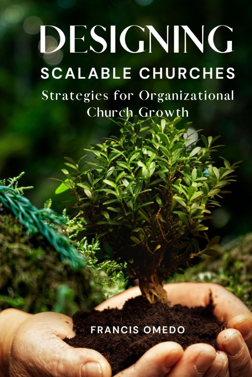 Designing Scalable Churches: Strategies for Organizational Church Growth