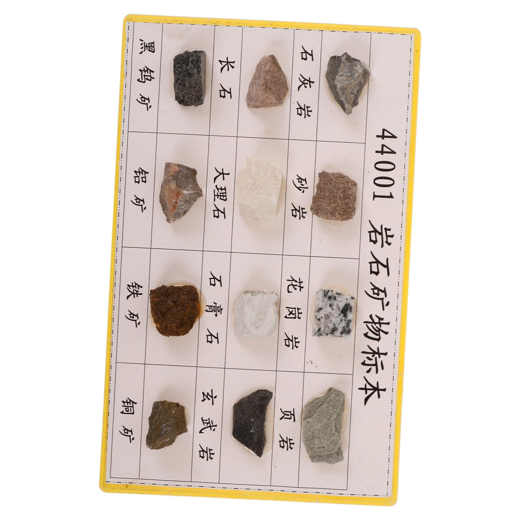 BUGUUYO 12 Pcs Rock Specimen Set Student Sicorss Lab Showg Showses Mineral Rock Specimen Mineral Rock Kit Rock Specimen for Collection Rock Specimen for Display Mineral Rocks Plastic