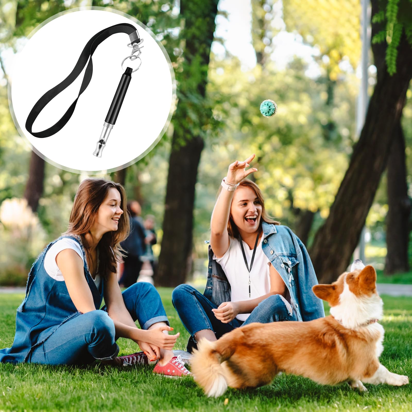Honden trainen en mensen helpen, de ideale combinatie!' | KNGF en