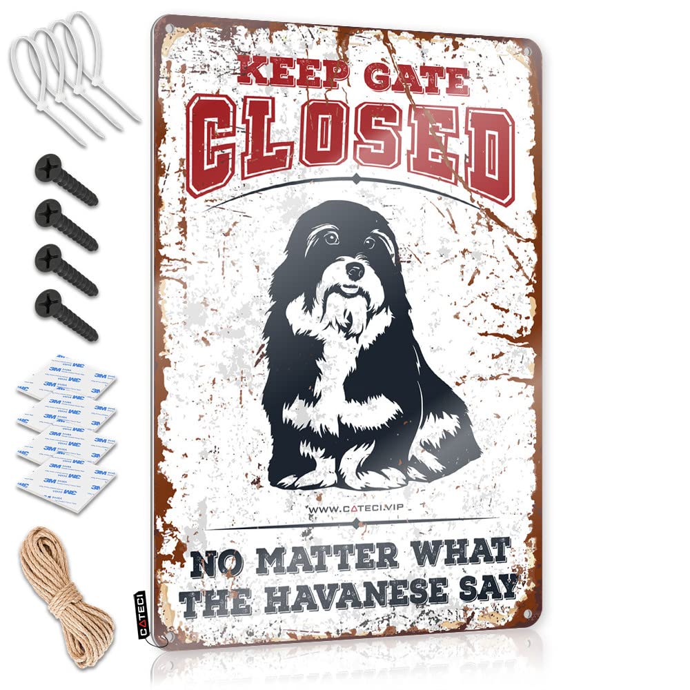 Plaques Positive Decaor Gift For Girlfriend Keep Gate Closed No Matter What The Havanese Say - Vintage Wall Decor For Billiards(30X40CM)