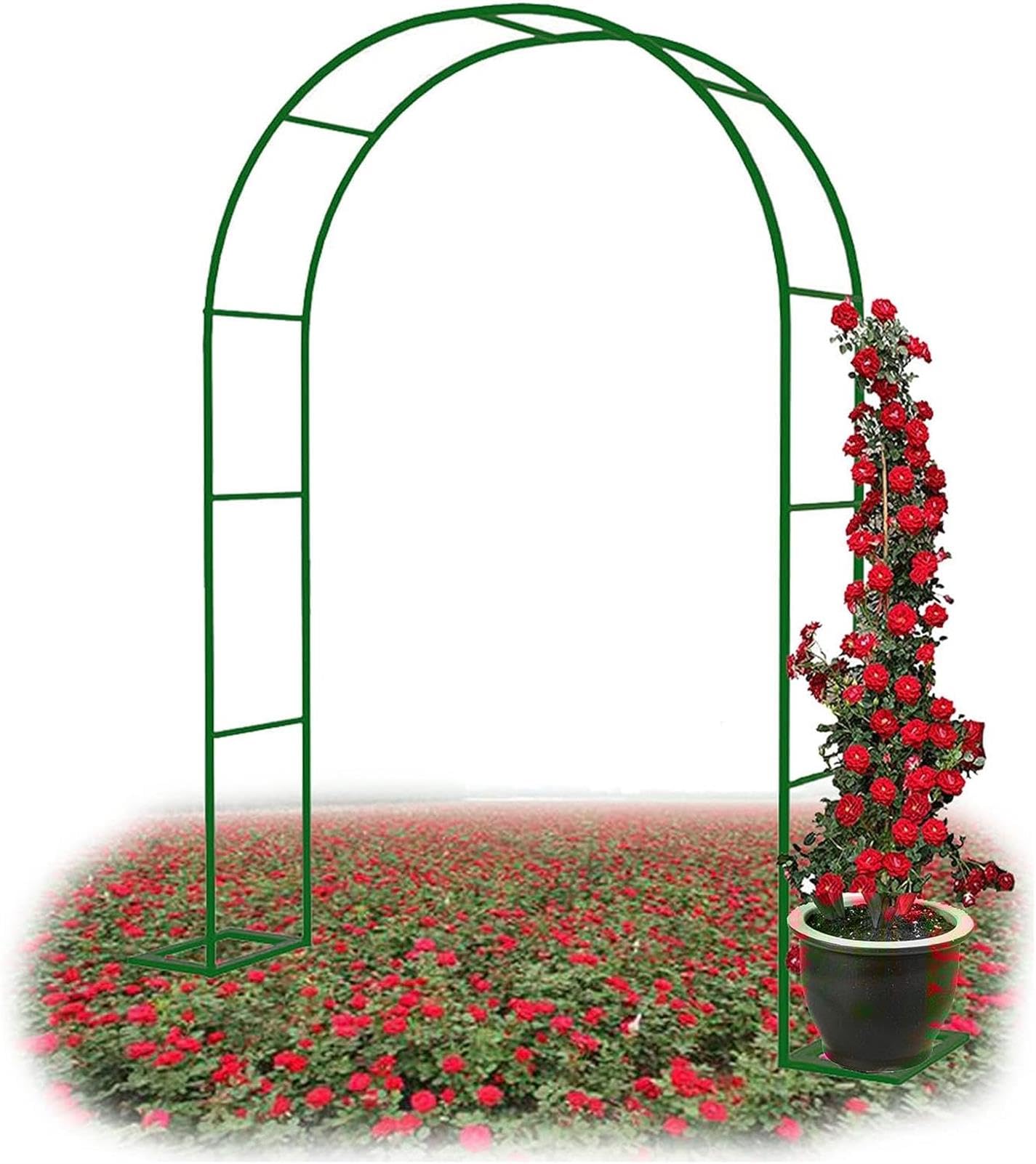 Rozen Prieel in Tuin en Terras