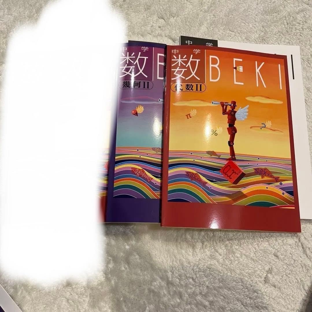 わかる人にはわかる 数BEKI BEKI 数学 代数 幾何 まとめて 2 Ⅱ 中学 高校 BEKI 代数2 幾何