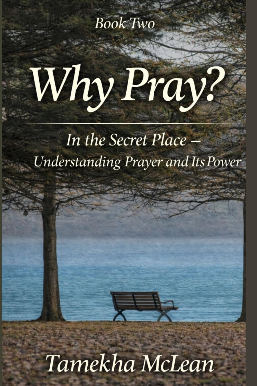 Why Pray?: In the Secret Place - Understanding Prayer and Its Power (A Life Formed in Prayer)