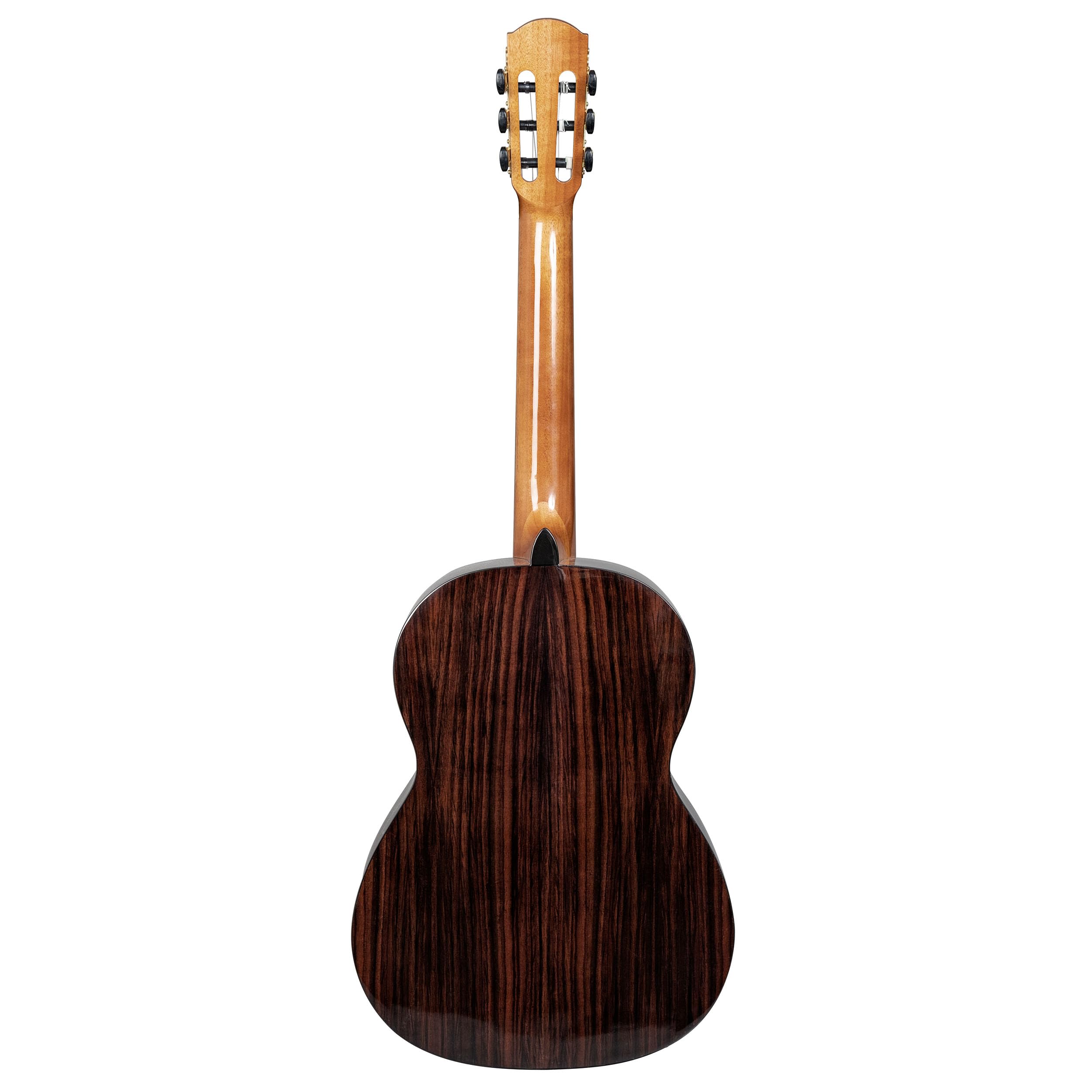 Performer Series Classic Guitar 4/4 (incl. borsa imbottita, 3 picchi)
