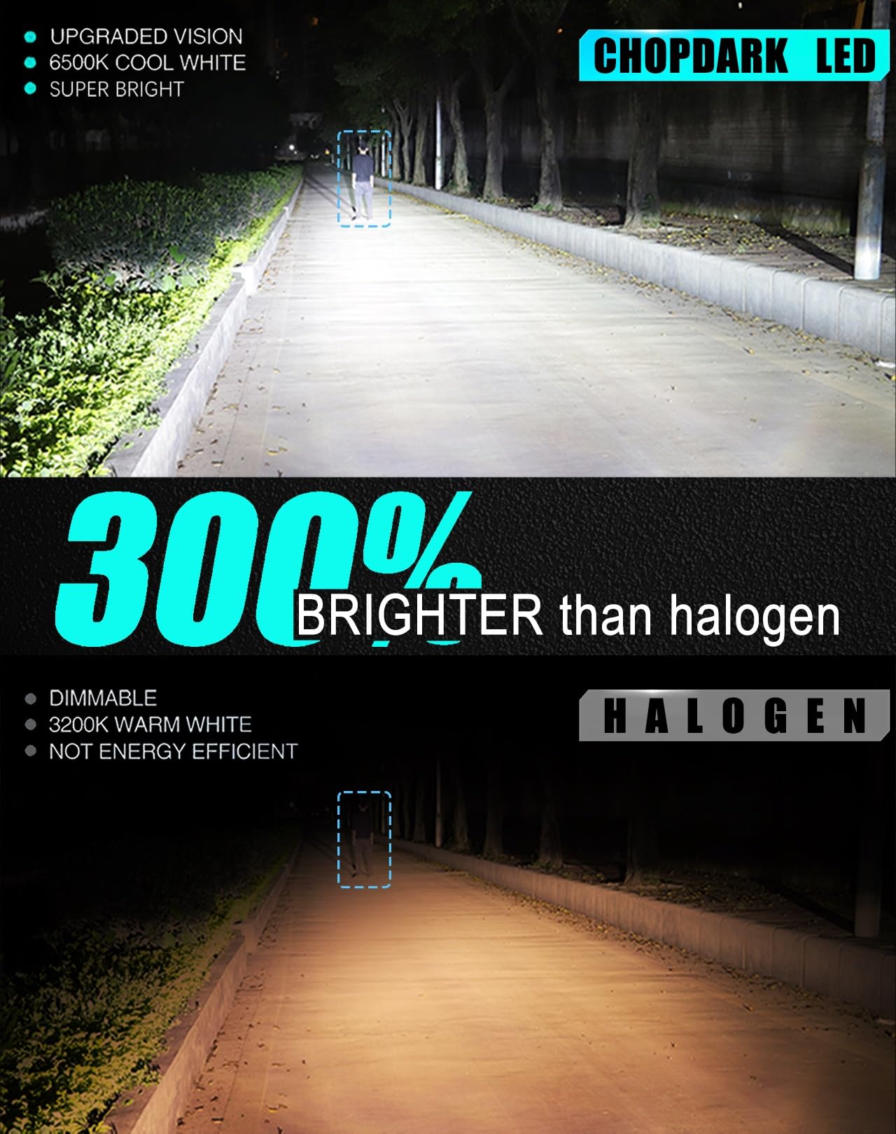 https://m.media-amazon.com/images/I/71WrD8a+sYL.jpg