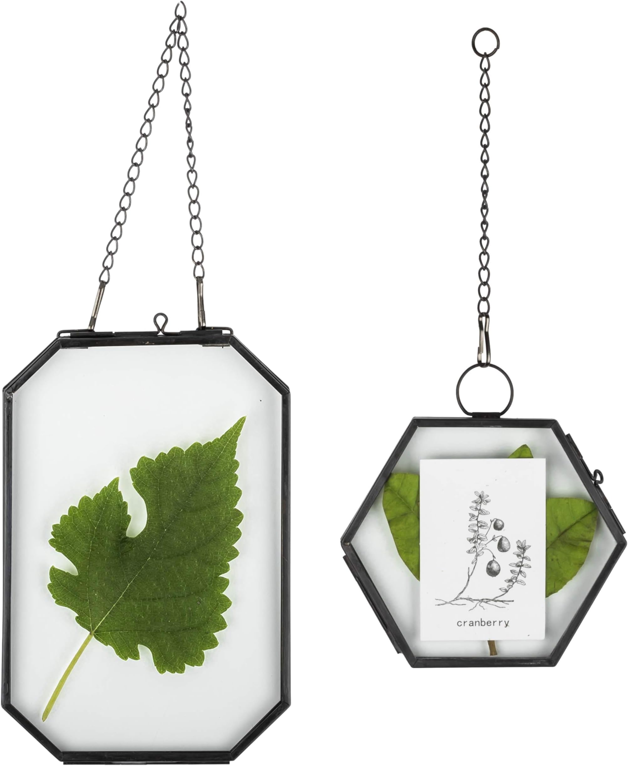 Double Glass Frame Bundle - Mini Black Octagon Shaped 4 x6 inches Glass Floating Frame, and Hexagon Shaped Mini Black Glass Floating Frame, for Pressed Dried Flowers, Photo, Picture, Poster, Herb