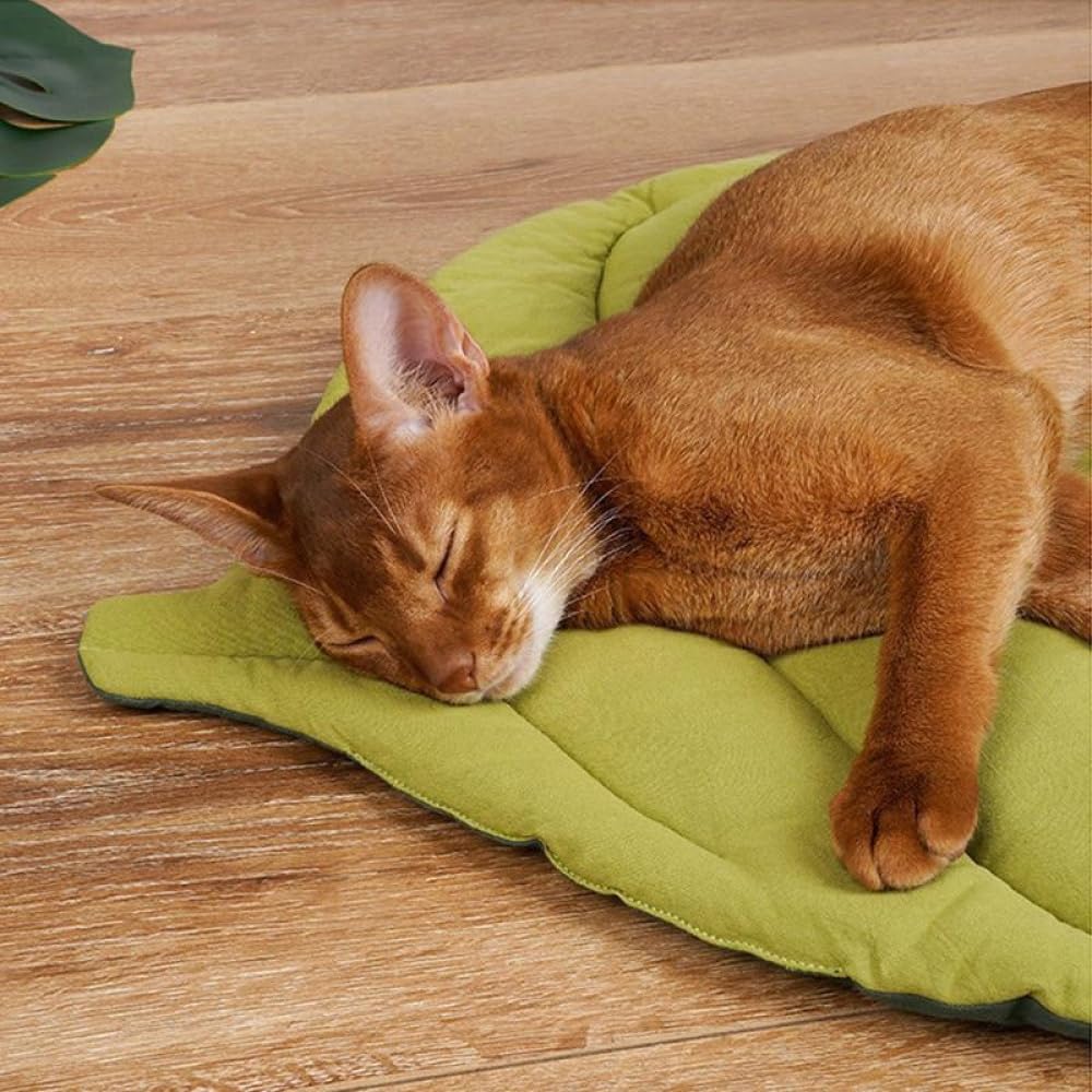 review MinimalistXS Leaf Shaped Cotton Dog Cat Blankets for Small Medium Large Dogs Pet Mat Blanket for Couch Protection, 20x27inch (Green)