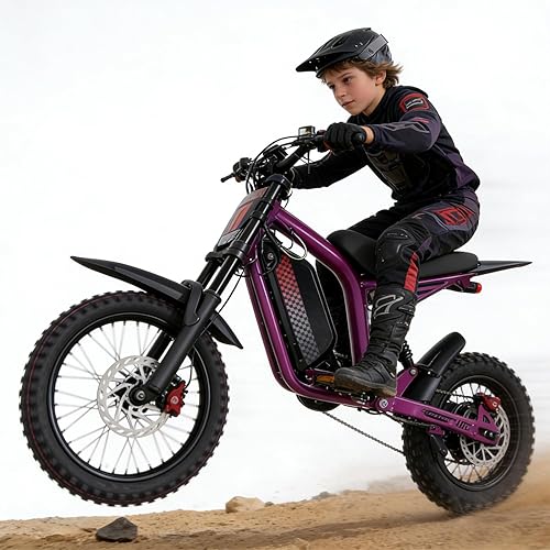 eAhora FT07 Electric Dirt-Bike for Teens - 30mph Electric-Motorcycle 3000W Electric Bike for Adults, 48V 18Ah ebike 40Mile E Dirt-Bike, 14"/12" Off-Road Tire Ebike, Full Suspension E Dirt Bike NFC